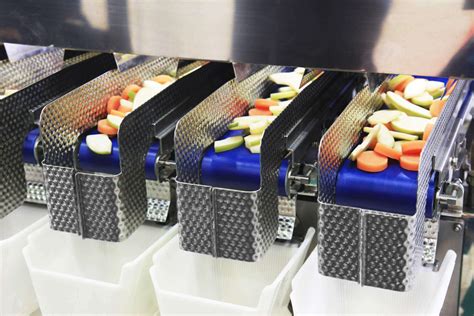 Fruit and Vegetable Processing Equipment Industrial .